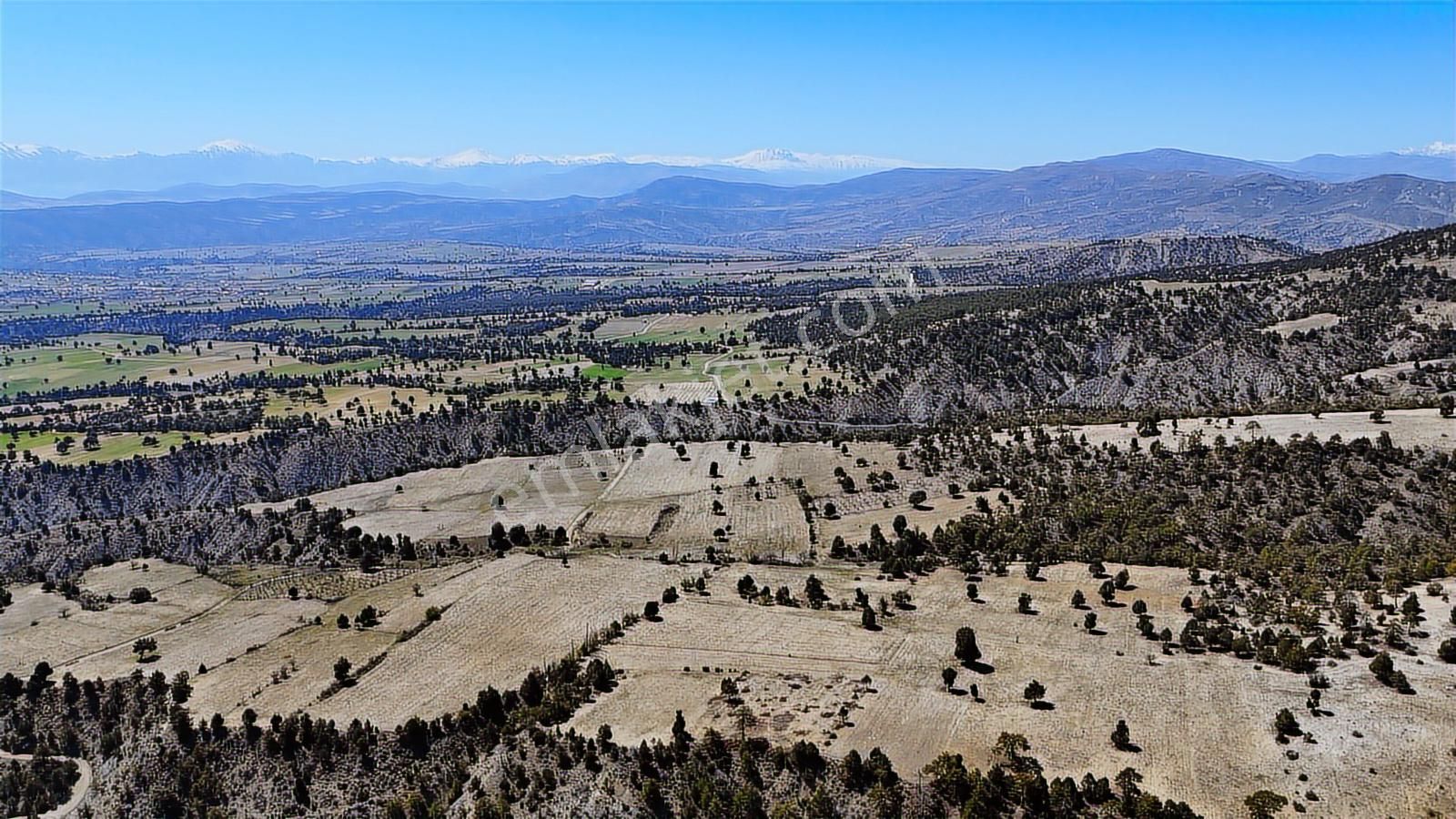 Korkuteli Yukarı Karaman Yaylası 7.527 M2 Satılık Tarla - Görsel 13