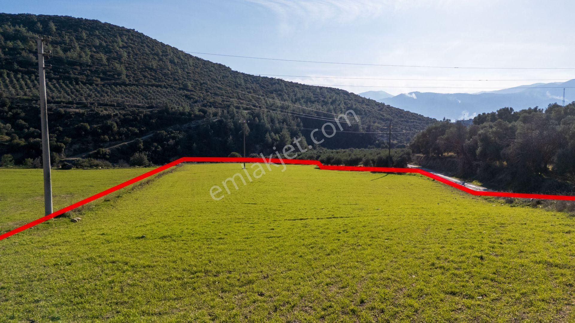 Bozdoğan Yazıkent Mahallesinde Yol Kenarı 6,5 Dönüm Tarla