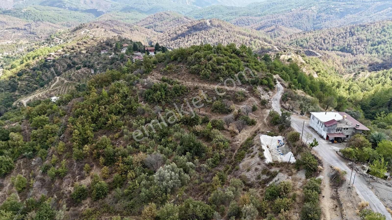 Alanya Şıhlarda Satılık 5 Dönüm Tarla - Görsel 5