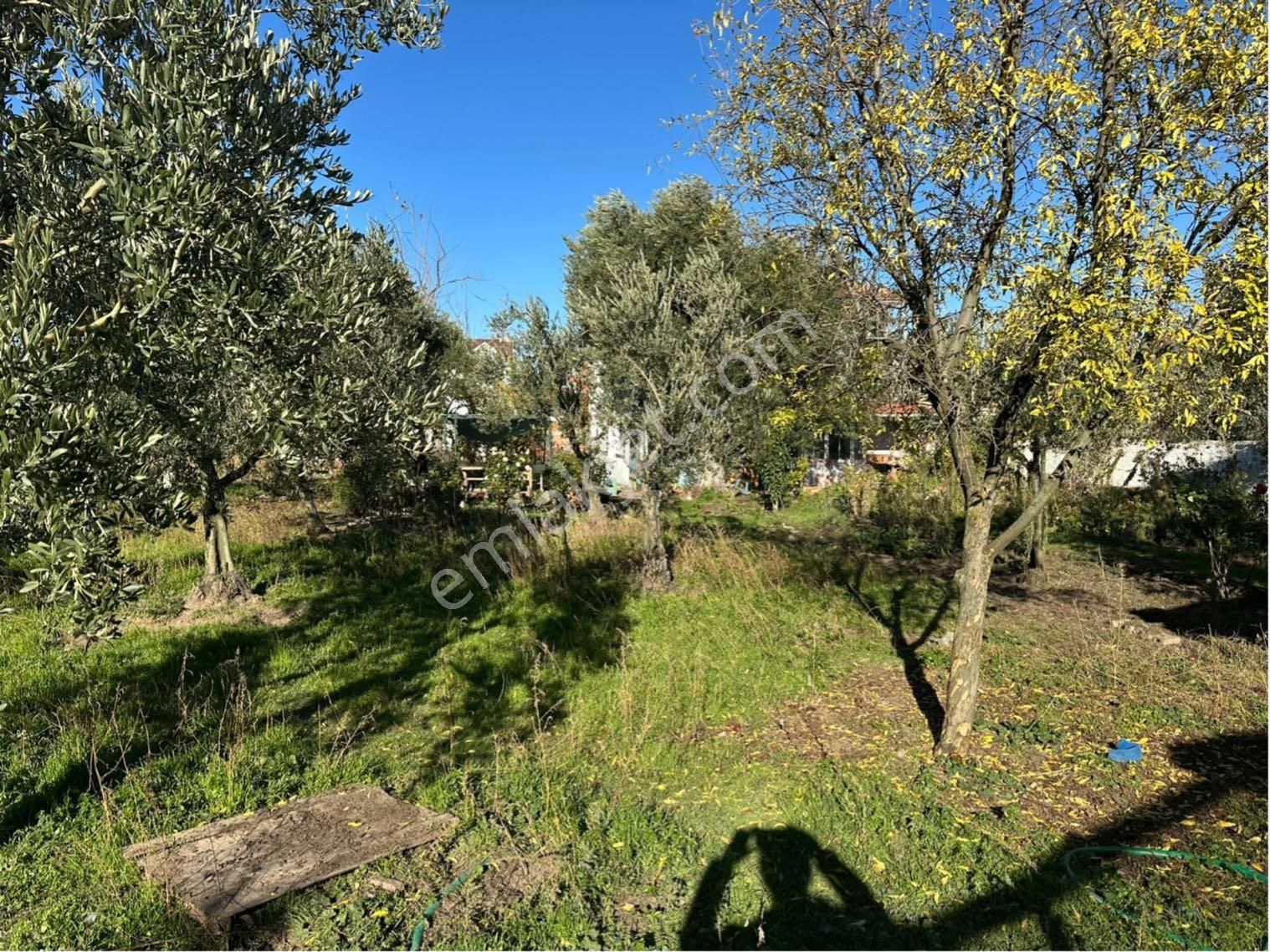 Şehrin Merkezinde Büyük Arsa İçinde Müstakil Ev - Görsel 11