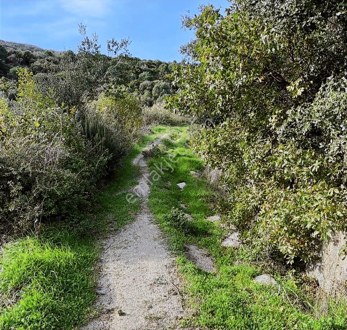 Erdek Turan'da Deniz Manzaralı Hobi Bahçesi - Görsel 10