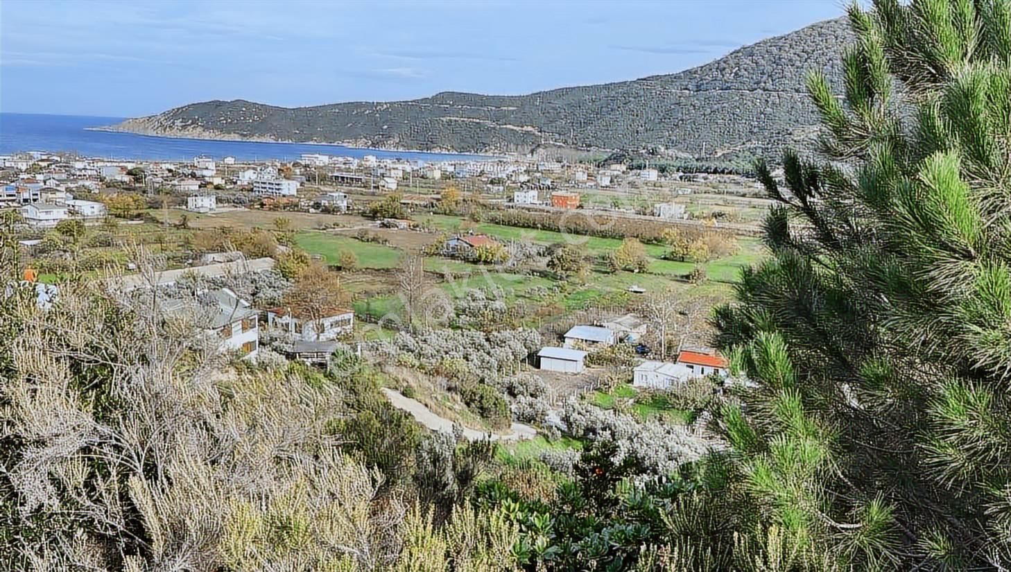 Erdek Turan'da Deniz Manzaralı Hobi Bahçesi - Görsel 7