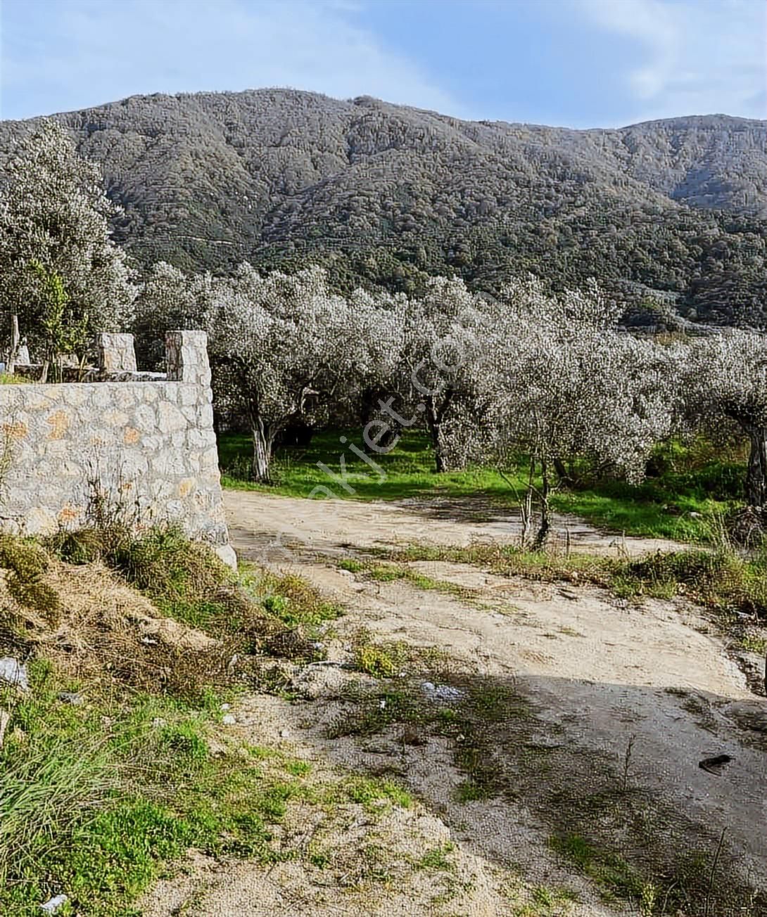 Erdek Turan'da Deniz Manzaralı Hobi Bahçesi - Görsel 4