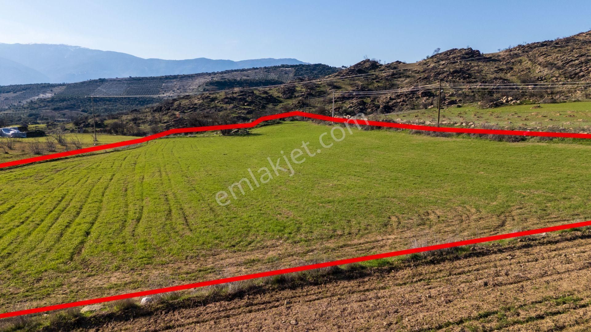 Bozdoğan Yazıkent Mahallesinde Satılık Yol Kenarı 21 Dönüm Tarla - Görsel 7