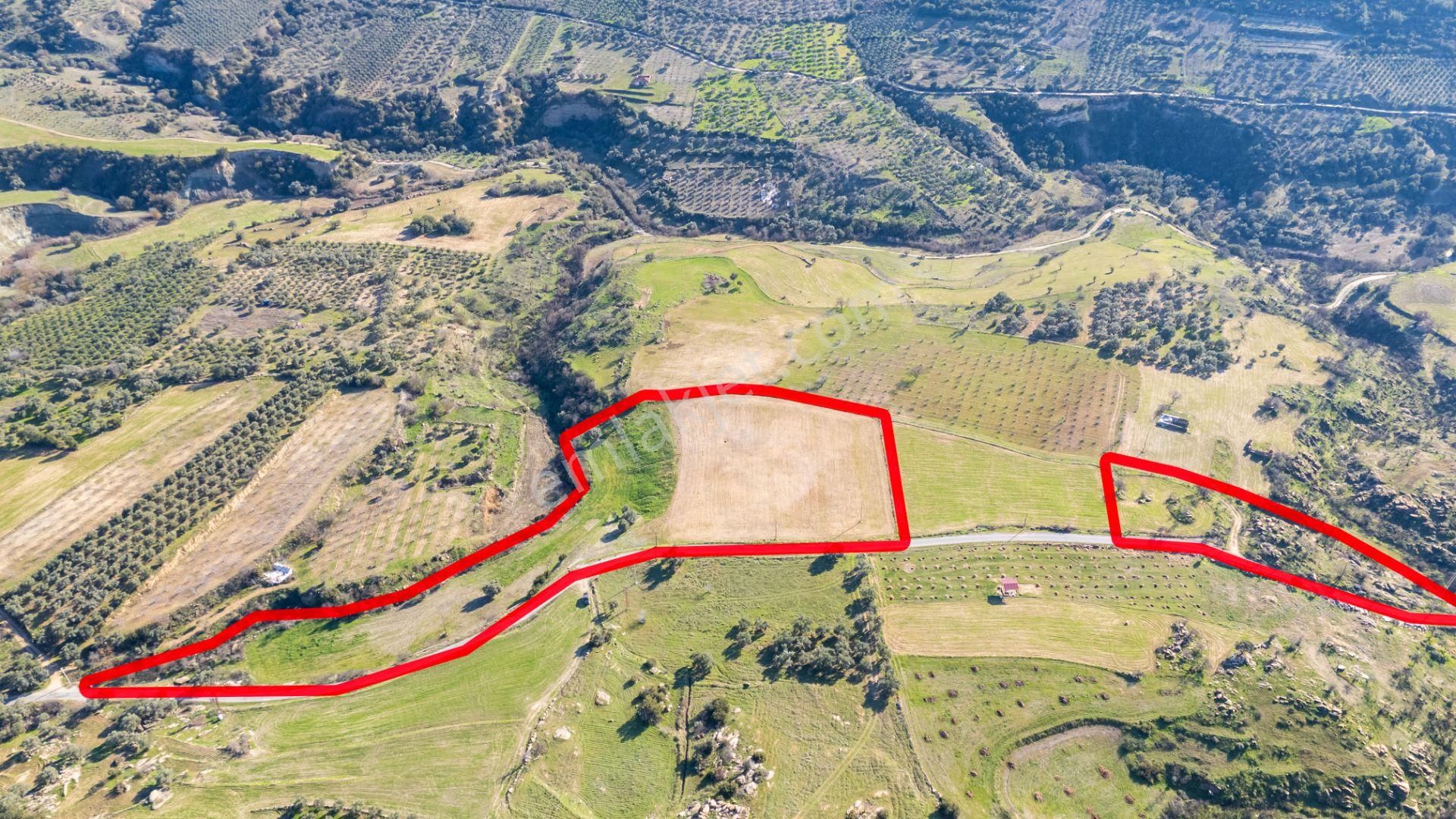 Bozdoğan Yazıkent Mahallesinde Satılık Yol Kenarı 21 Dönüm Tarla