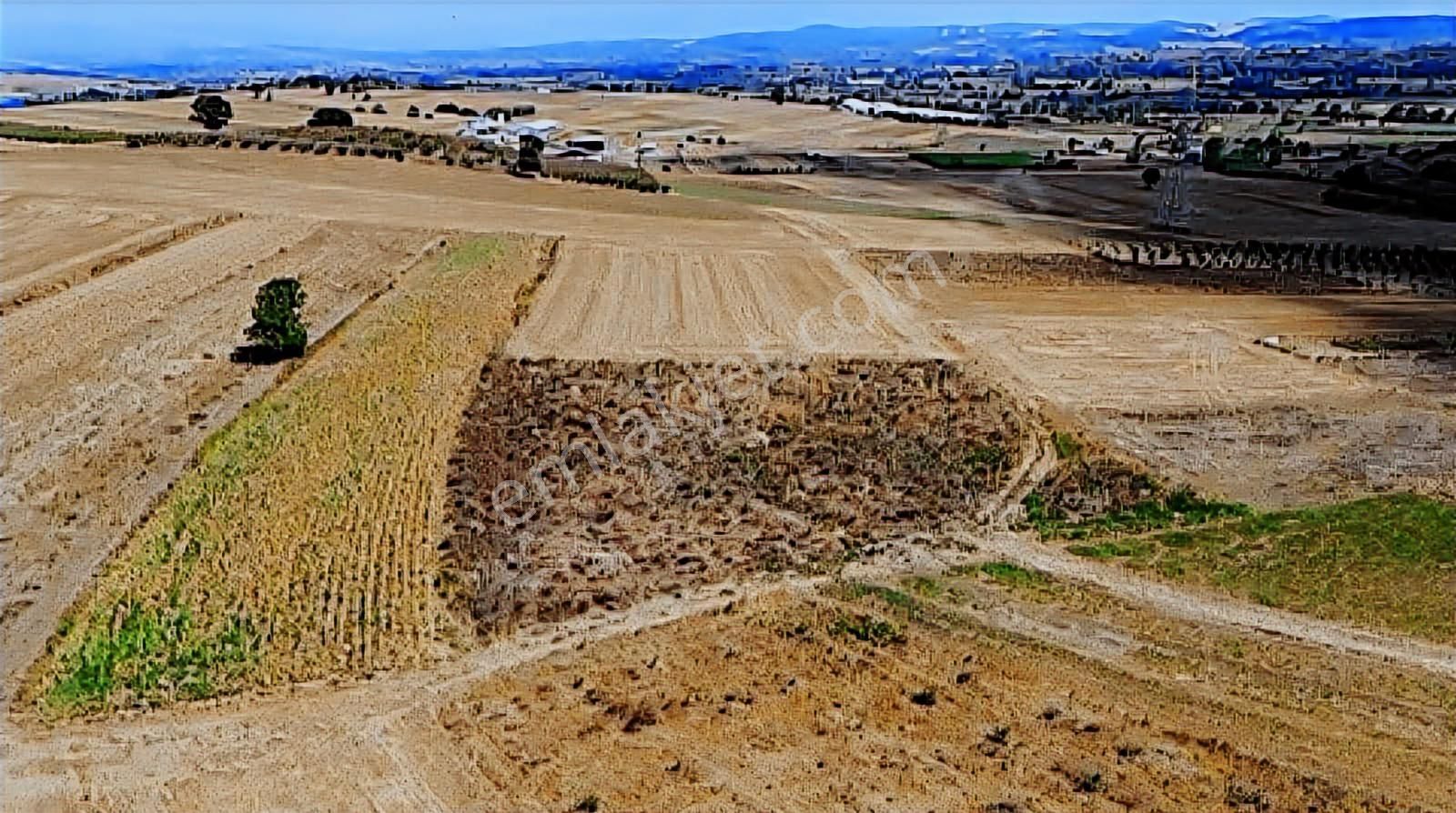 Fırsat!!!! Adapazarı Örentepe Mahallesinde Satılık 3479 M2 Tarla - Görsel 2