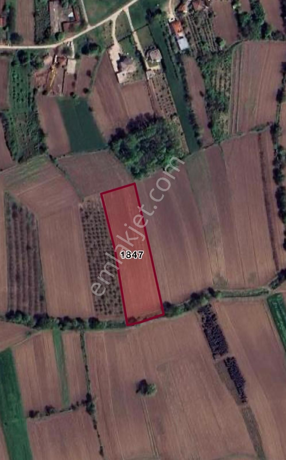 Adapazarı Budaklar'da 7.360 M2 Satılık Tarla - Görsel 2