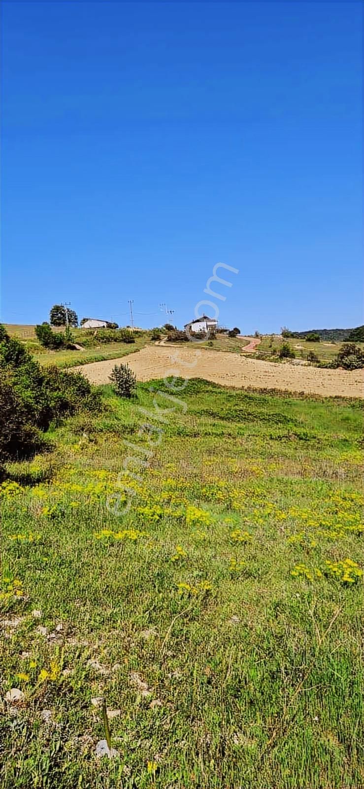 İzmit Sarışeyh De 3.854 M2 Satılık Arazi - Görsel 9