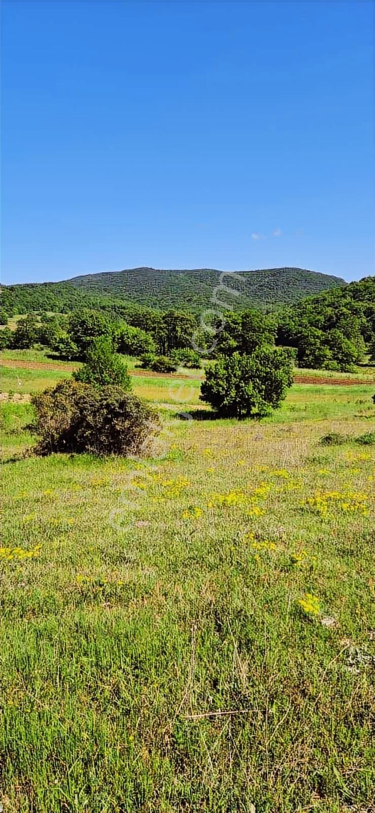 İzmit Sarışeyh De 3.854 M2 Satılık Arazi - Görsel 7