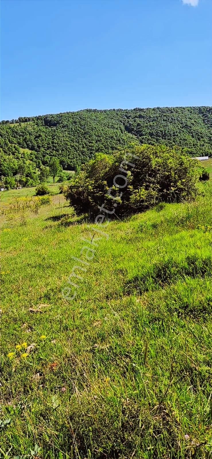 İzmit Sarışeyh De 3.854 M2 Satılık Arazi - Görsel 5
