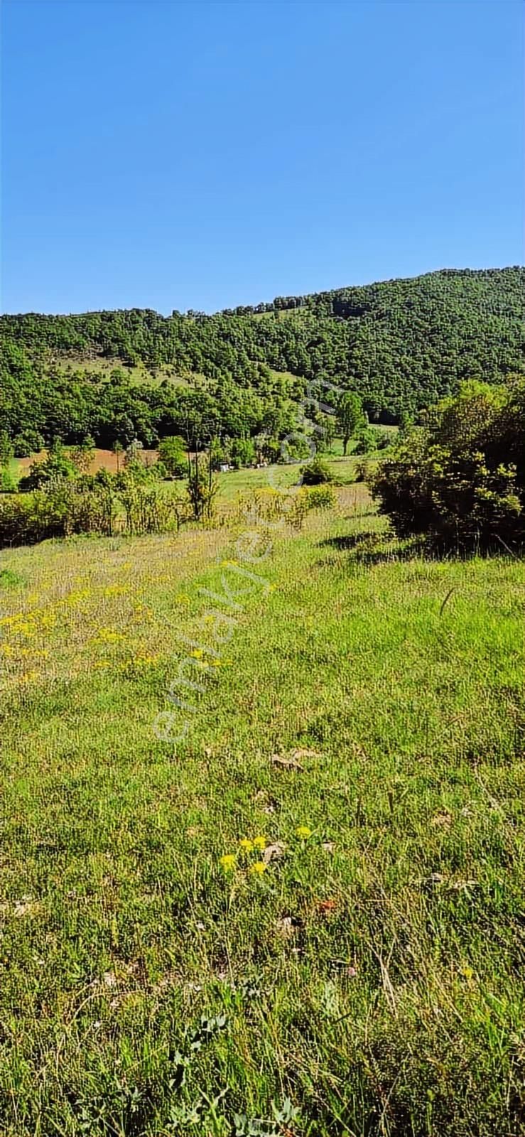 İzmit Sarışeyh De 3.854 M2 Satılık Arazi - Görsel 6