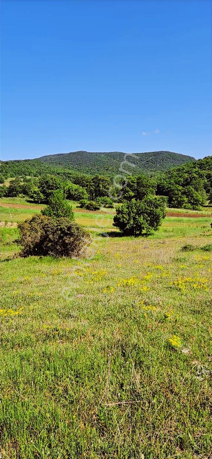 İzmit Sarışeyh De 3.854 M2 Satılık Arazi - Görsel 5
