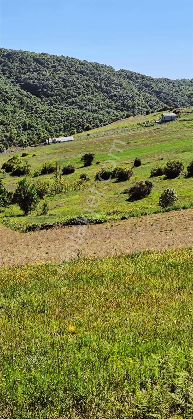 İzmit Sarışeyh De 3.854 M2 Satılık Arazi - Görsel 8