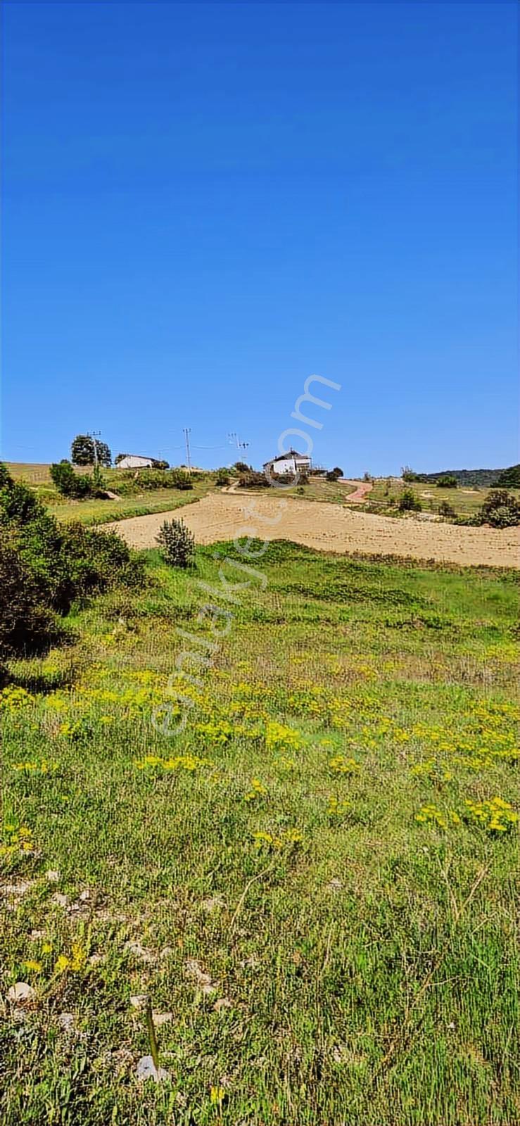 İzmit Sarışeyh De 3.854 M2 Satılık Arazi - Görsel 6