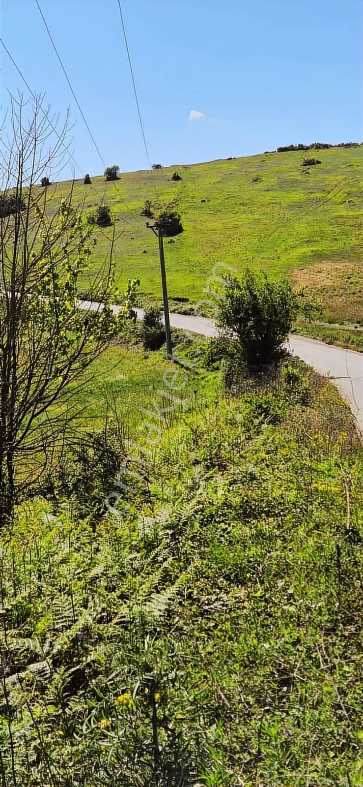 İzmit Sarışeyh De 3.854 M2 Satılık Arazi - Görsel 2