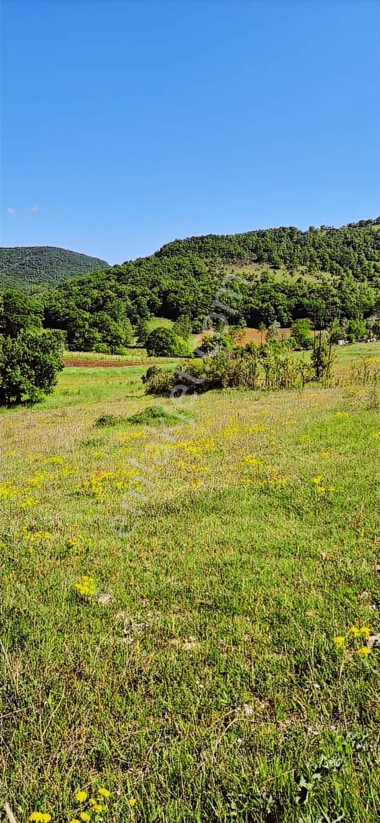 İzmit Sarışeyh De 3.854 M2 Satılık Arazi