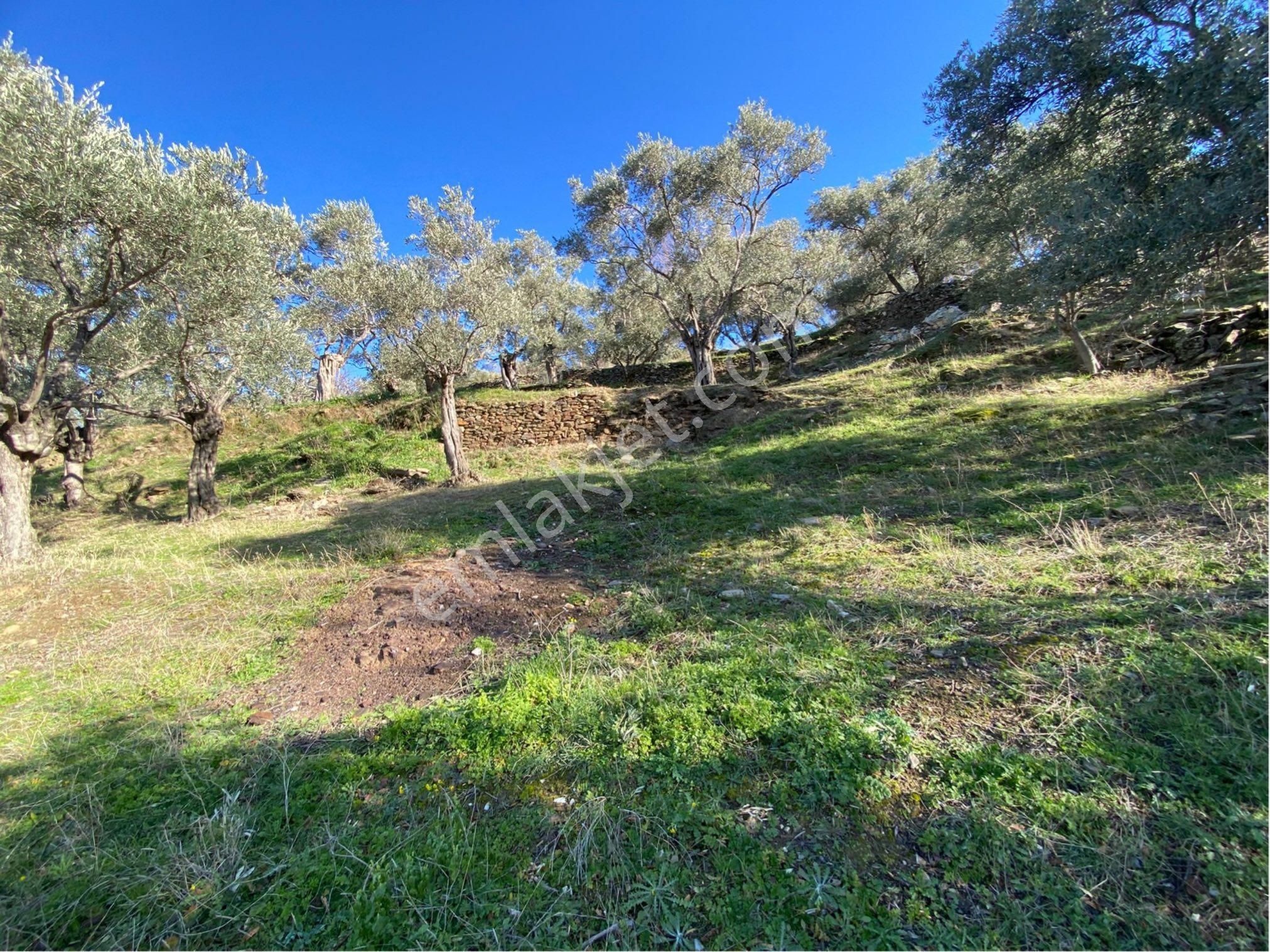 Şahin Gayrimenkul Den Toptepemevki Satılık Arsa - Görsel 4