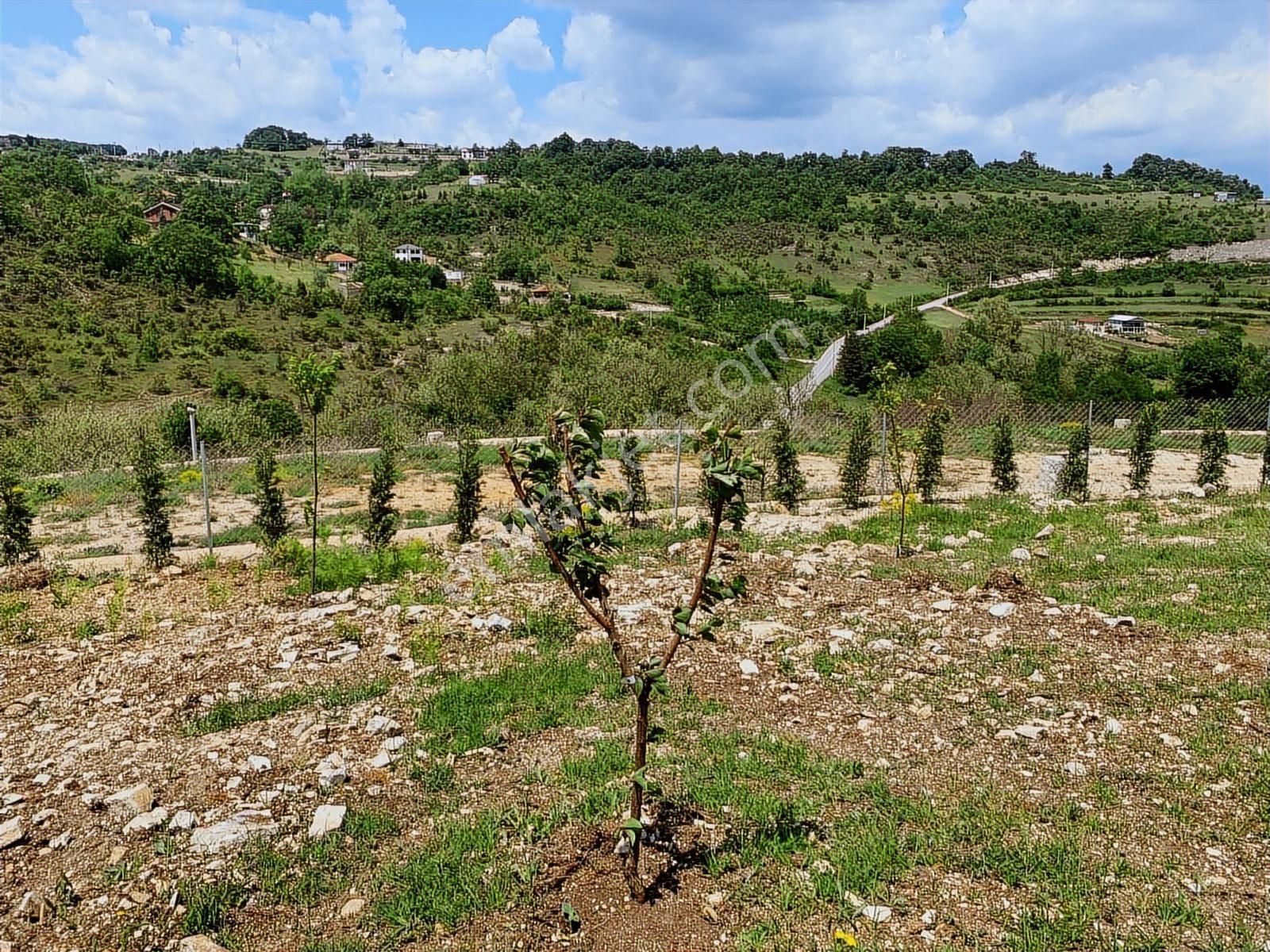 Newores'tan Gebze Elbizli Köyü'nde 2.5 Dönüm %5 İmarlı Arsa - Görsel 13