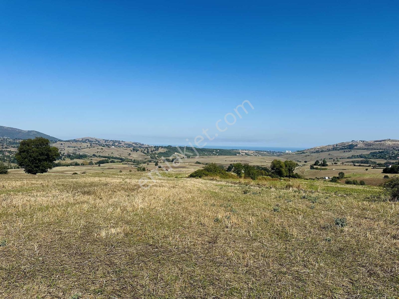 Sarayköy'de Çok Acil Satılık Deniz Mnazaralı 4240 M2 Tarla - Görsel 18