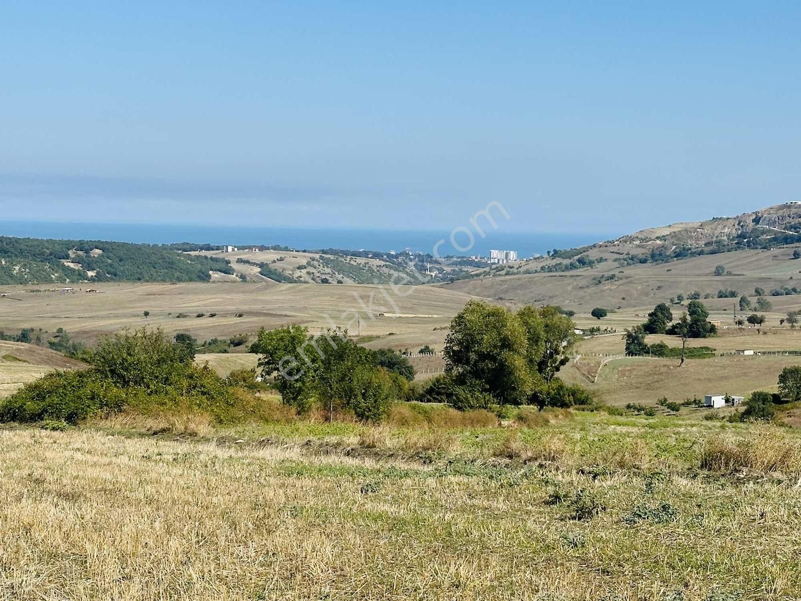 Sarayköy'de Acil Satılık Deniz Mnazaralı 4240 M2 Tarla