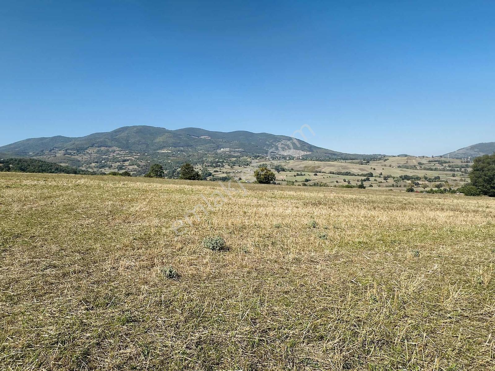Sarayköy'de Çok Acil Satılık Deniz Mnazaralı 4240 M2 Tarla - Görsel 16