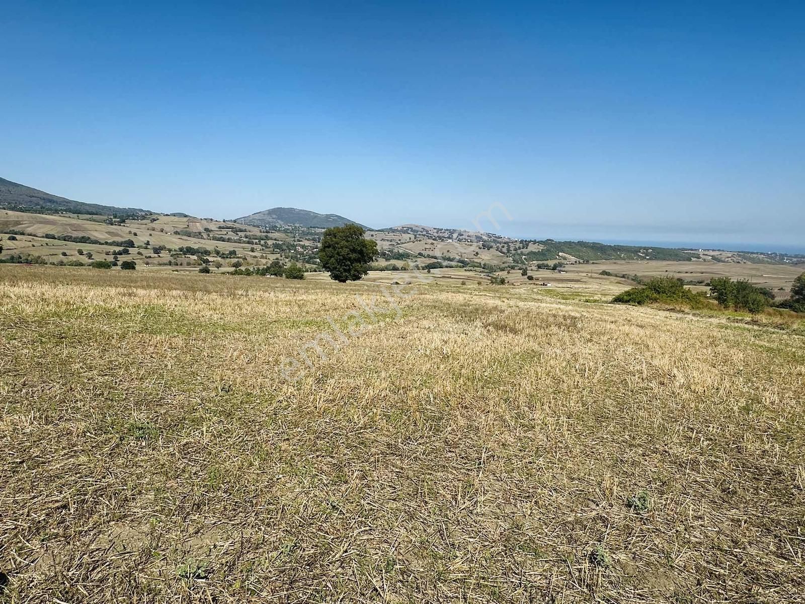 Sarayköy'de Acil Satılık Deniz Mnazaralı 4240 M2 Tarla - Görsel 10
