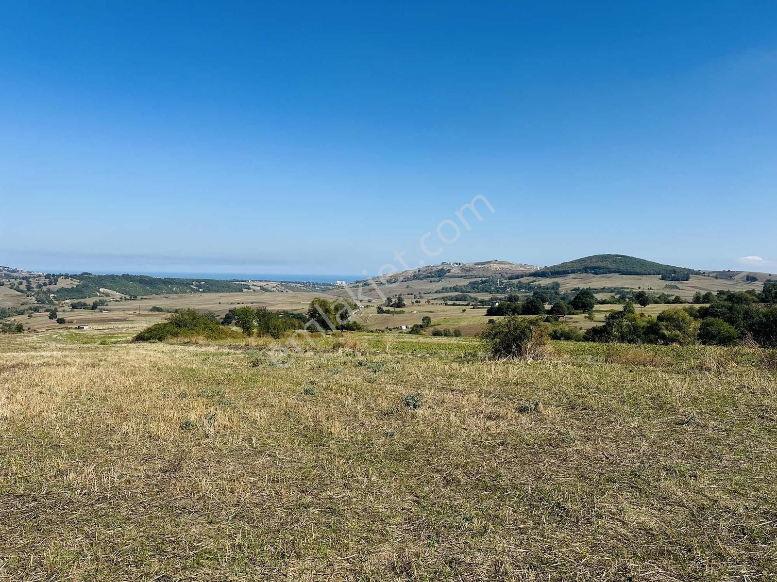Sarayköy'de Acil Satılık Deniz Mnazaralı 4240 M2 Tarla - Görsel 9