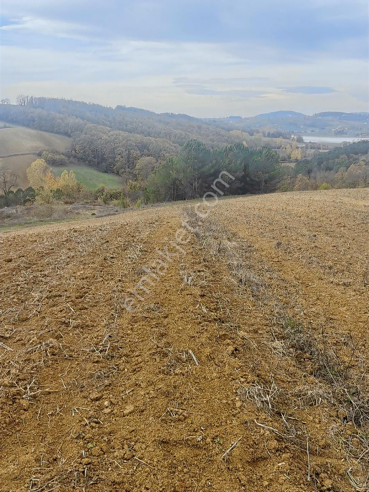 Geredelide Orman Ve Kısmi Gölet Manzaralı Satılık Arazi - Görsel 5