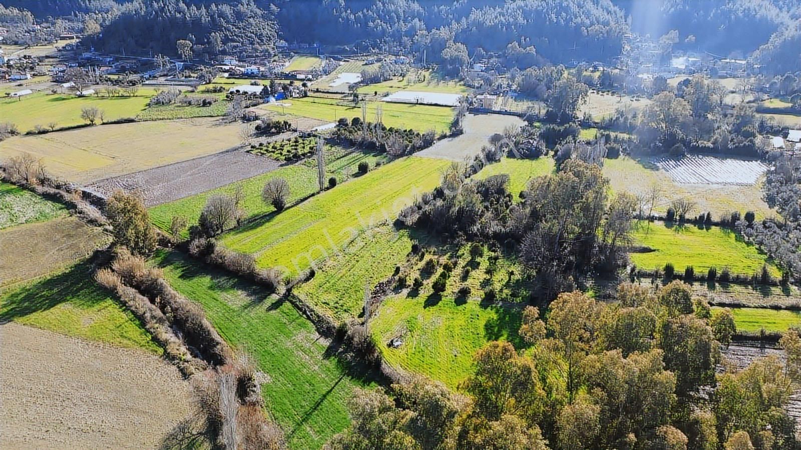 Muğla Ula Portakallık'da Satılık Fırsat 1526m2 Tarla - Görsel 4