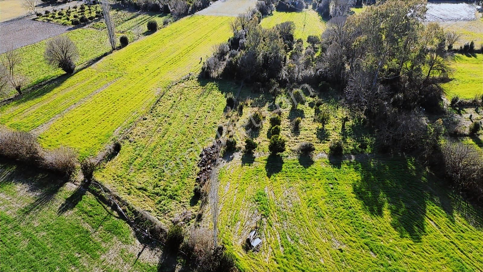 Muğla Ula Portakallık'da Satılık Fırsat 1526m2 Tarla - Görsel 7