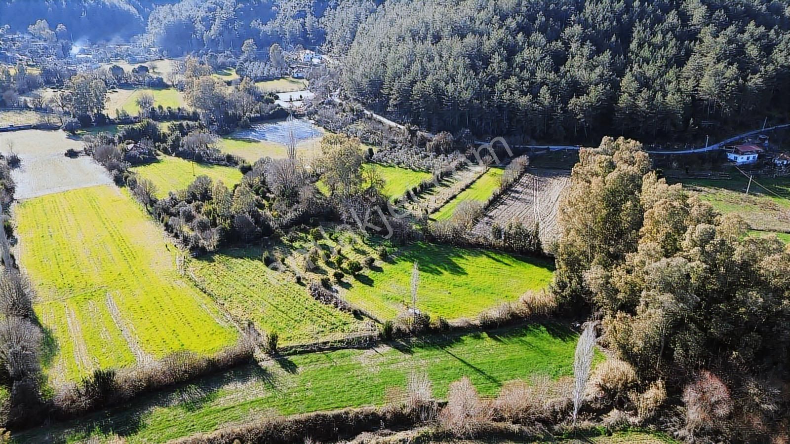 Muğla Ula Portakallık'da Satılık Fırsat 1526m2 Tarla - Görsel 3