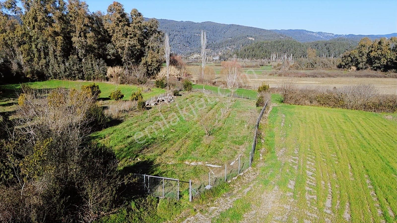 Muğla Ula Portakallık'da Satılık Fırsat 1526m2 Tarla - Görsel 17