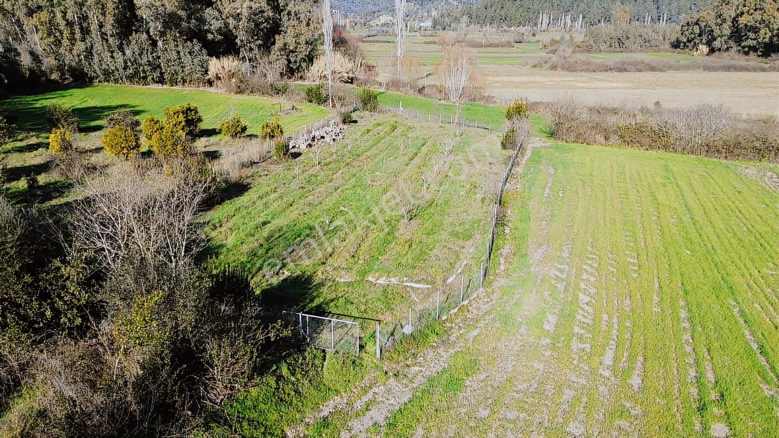 Muğla Ula Portakallık'da Satılık Fırsat 1526m2 Tarla - Görsel 14