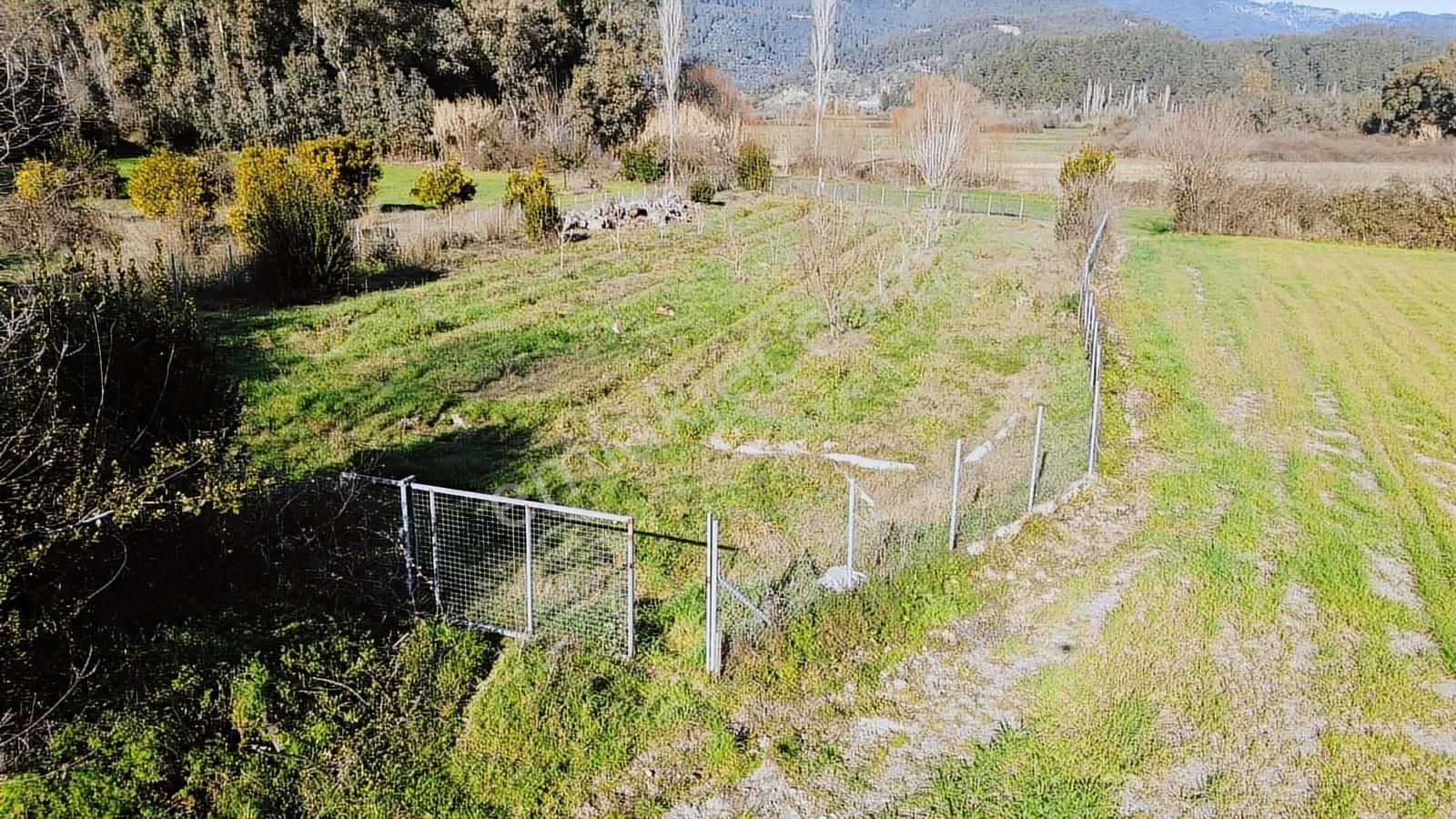 Muğla Ula Portakallık'da Satılık Fırsat 1526m2 Tarla - Görsel 15