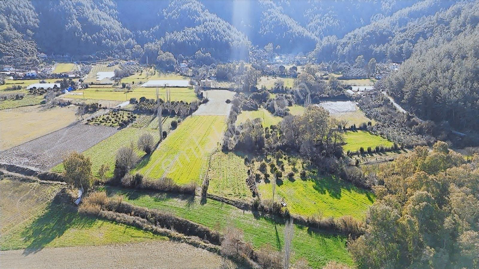 Muğla Ula Portakallık'da Satılık Fırsat 1526m2 Tarla - Görsel 23