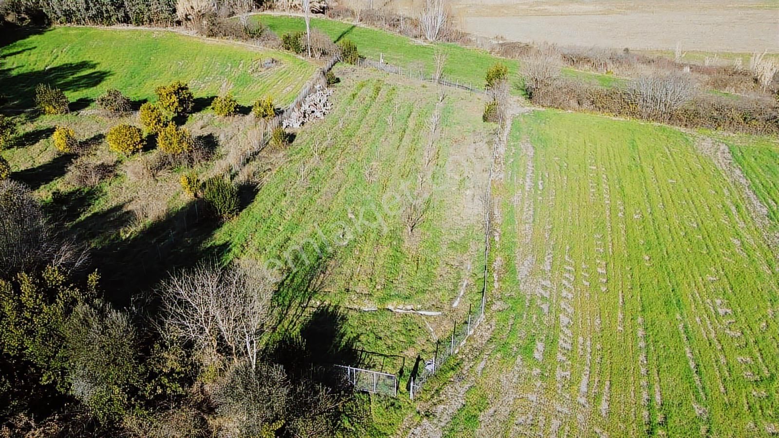 Muğla Ula Portakallık'da Satılık Fırsat 1526m2 Tarla - Görsel 9