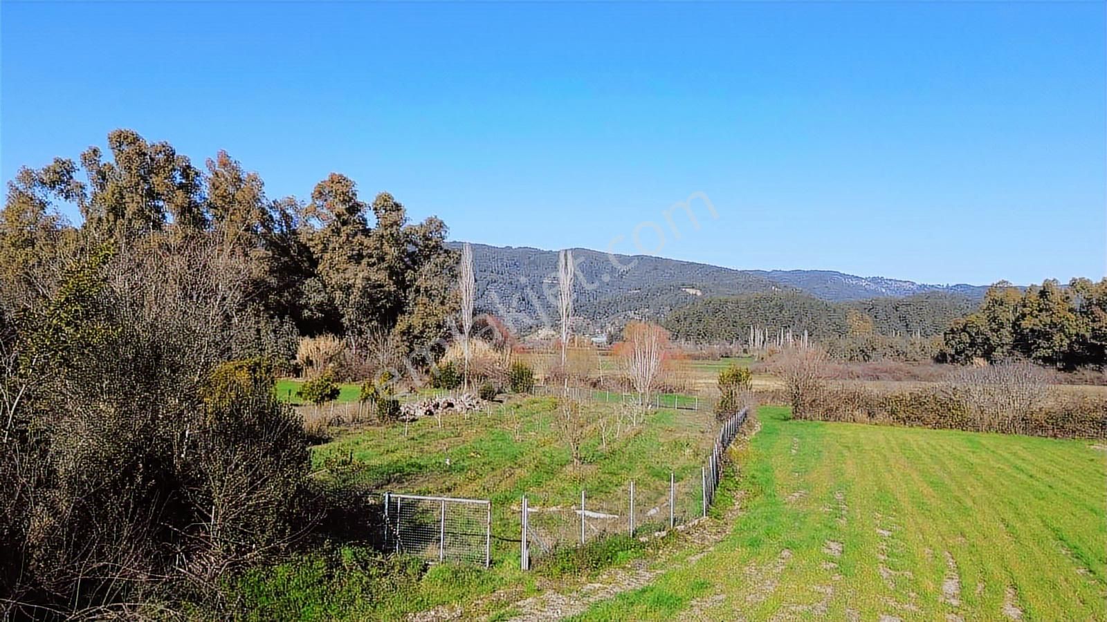 Muğla Ula Portakallık'da Satılık Fırsat 1526m2 Tarla - Görsel 28