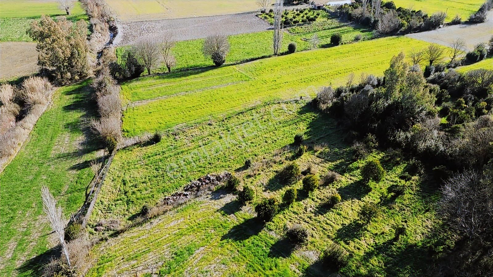 Muğla Ula Portakallık'da Satılık Fırsat 1526m2 Tarla - Görsel 10