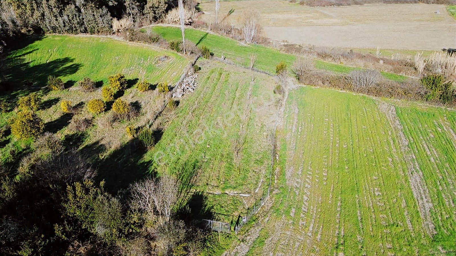 Muğla Ula Portakallık'da Satılık Fırsat 1526m2 Tarla - Görsel 24