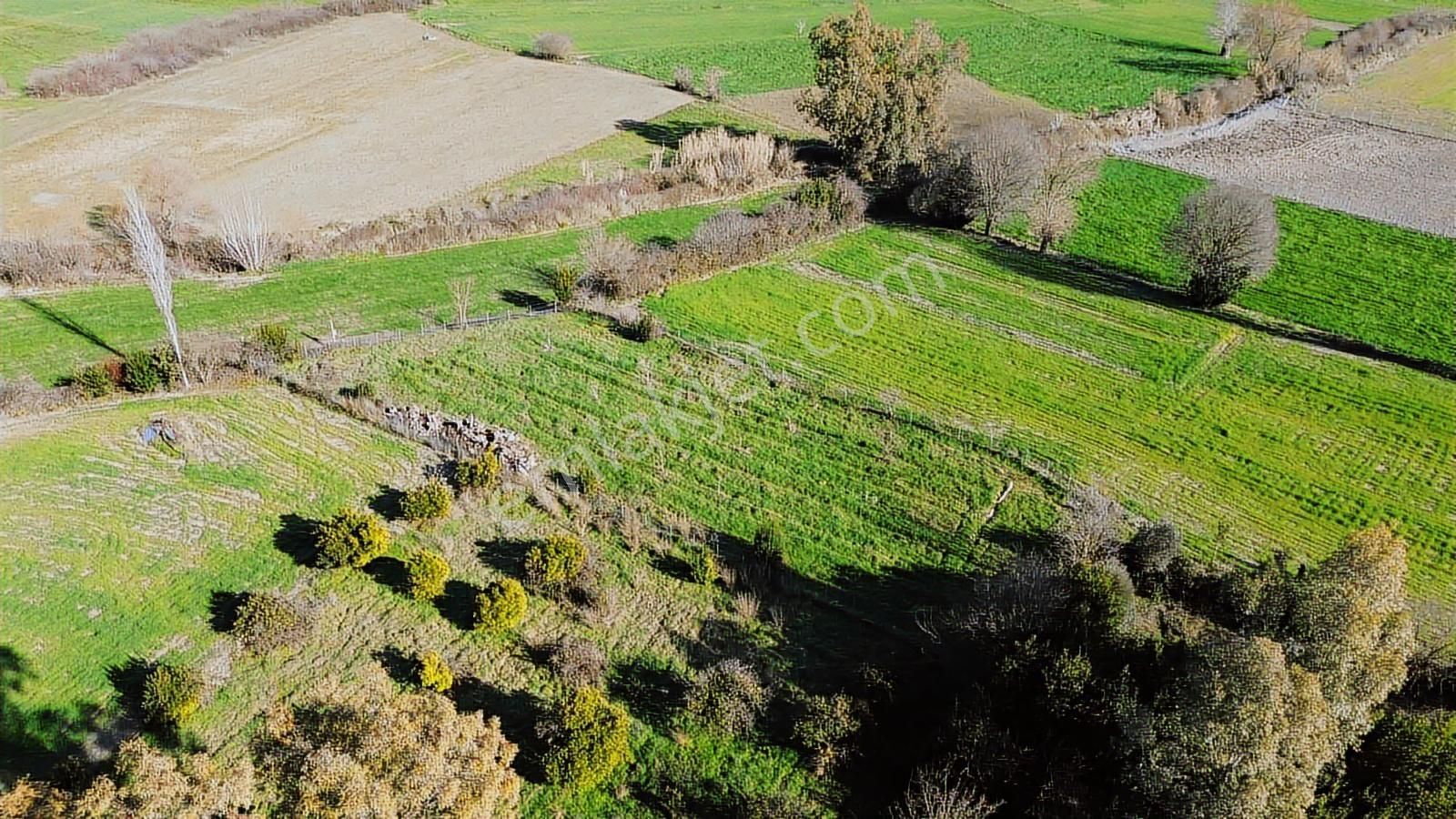 Muğla Ula Portakallık'da Satılık Fırsat 1526m2 Tarla - Görsel 21