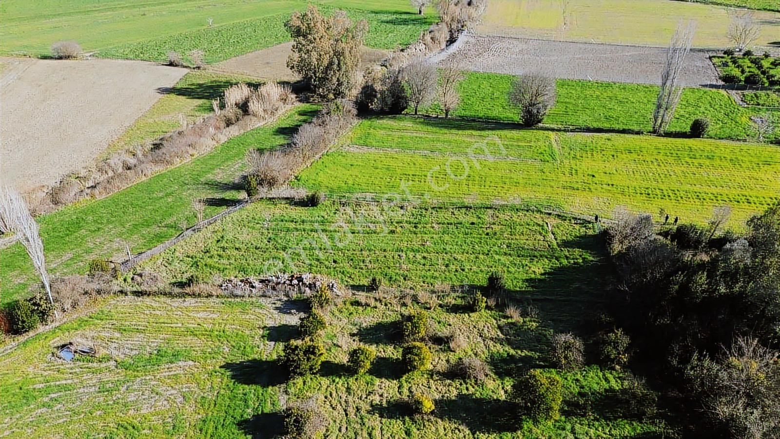 Muğla Ula Portakallık'da Satılık Fırsat 1526m2 Tarla - Görsel 8