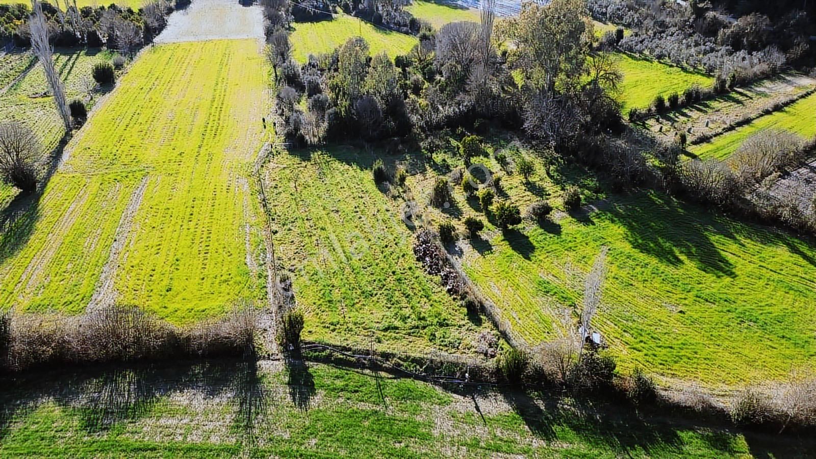 Muğla Ula Portakallık'da Satılık Fırsat 1526m2 Tarla - Görsel 6