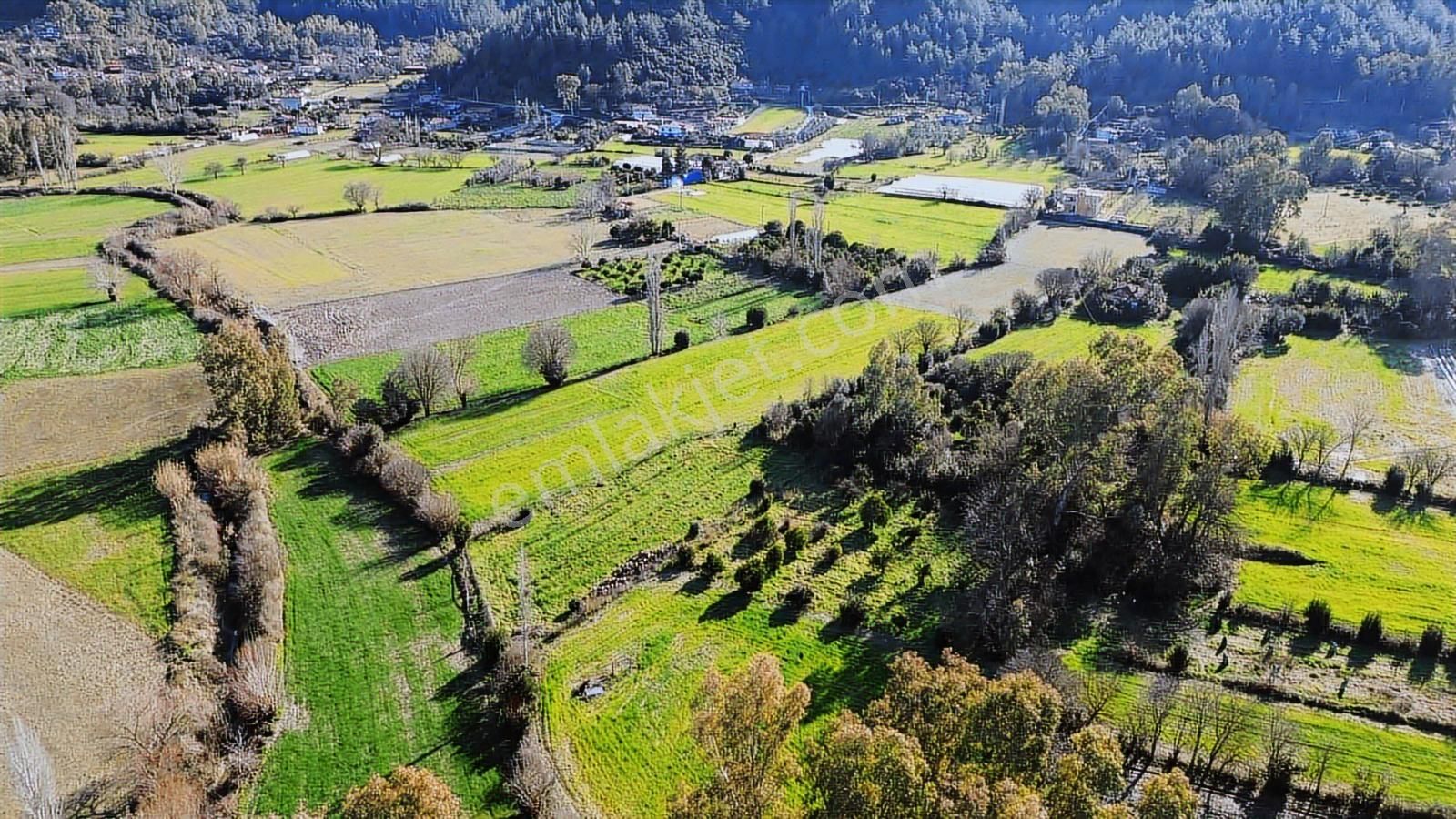 Muğla Ula Portakallık'da Satılık Fırsat 1526m2 Tarla - Görsel 27