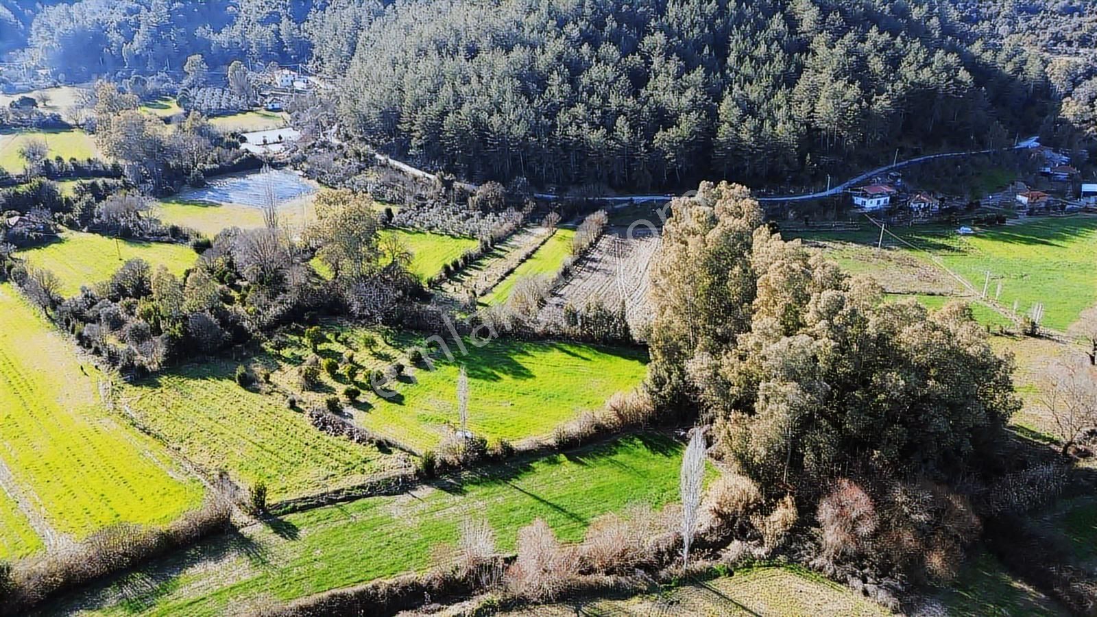 Muğla Ula Portakallık'da Satılık Fırsat 1526m2 Tarla - Görsel 25