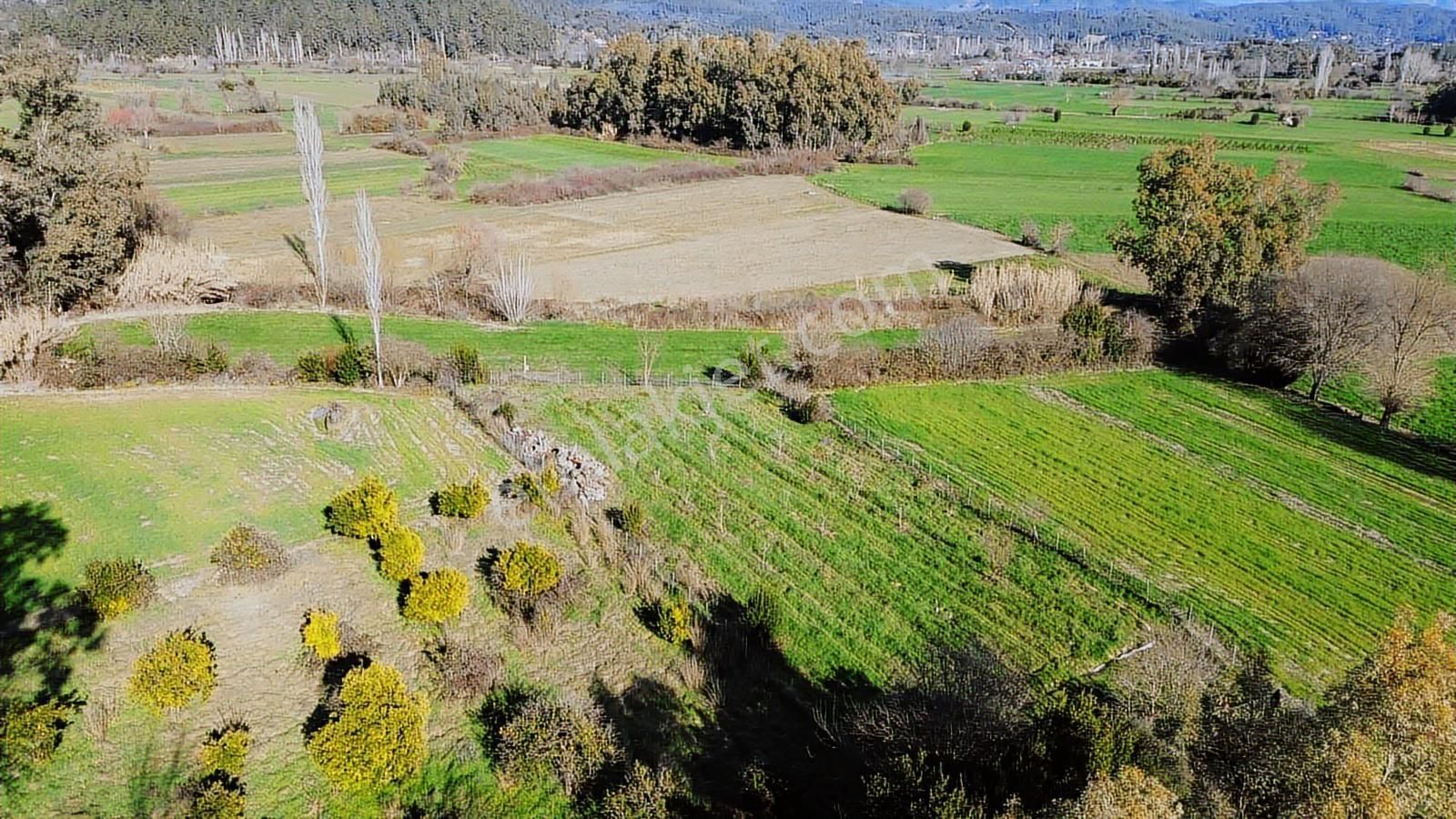 Muğla Ula Portakallık'da Satılık Fırsat 1526m2 Tarla - Görsel 22