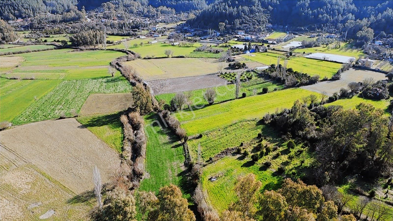 Muğla Ula Portakallık'da Satılık Fırsat 1526m2 Tarla - Görsel 2