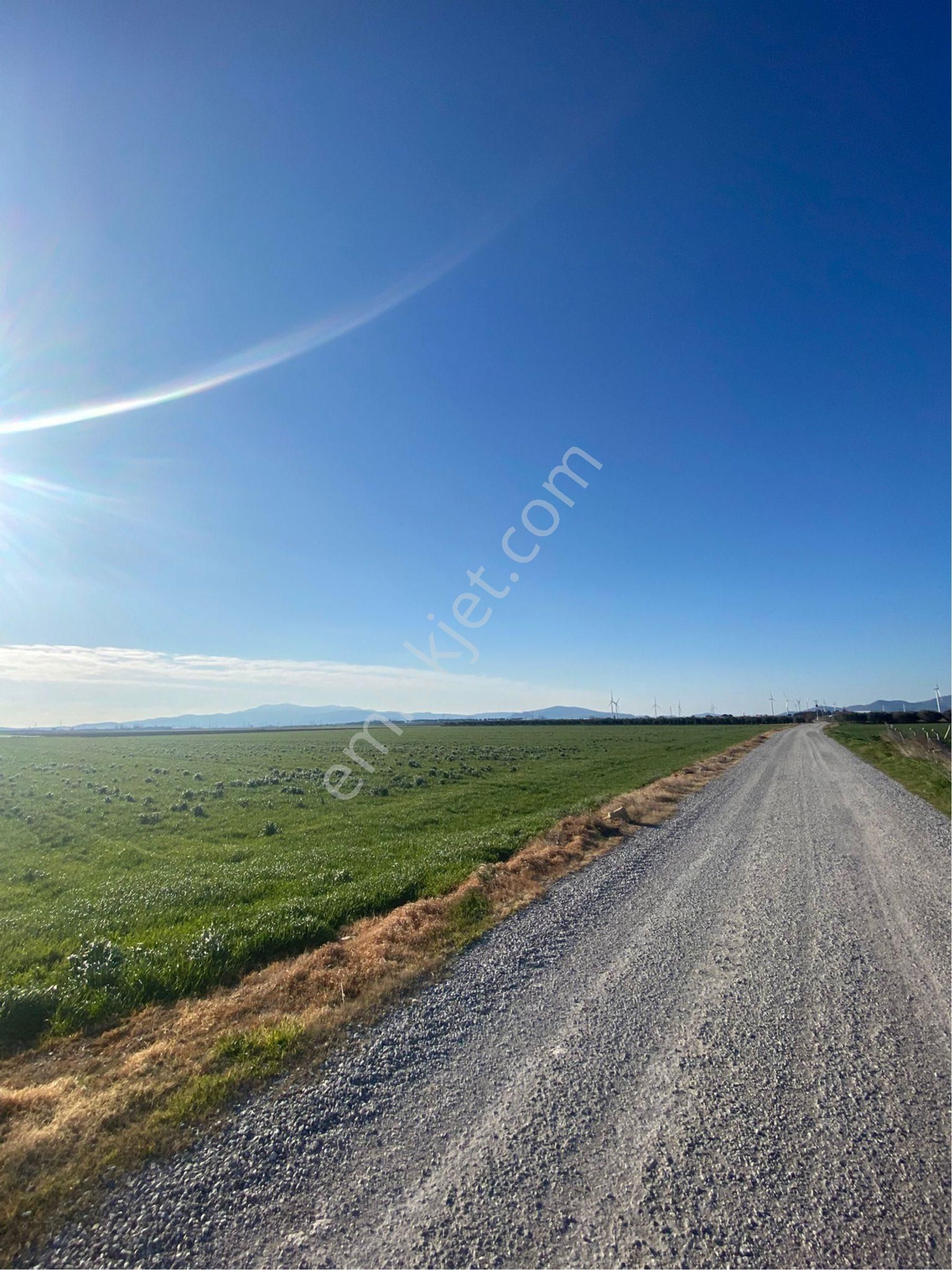 İzmir Bergama’da Satılık Arazi - Görsel 10