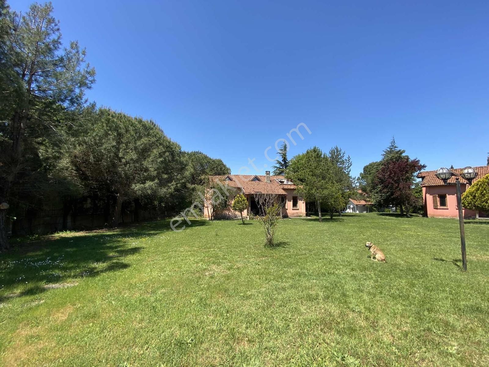 Arsa Fiyatına Satılık 11.646 M2 İçersinde 6 Adet Tek Katlı Ev - Görsel 9