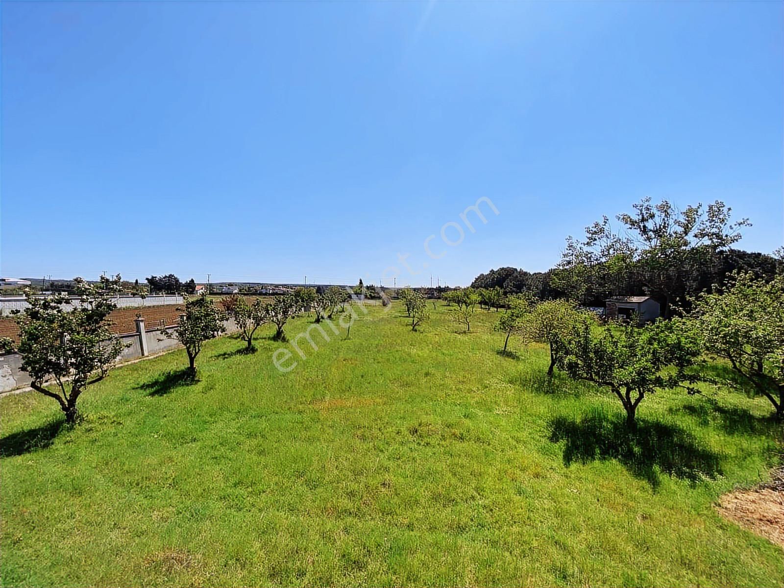 Arsa Fiyatına Satılık 11.646 M2 İçersinde 6 Adet Tek Katlı Ev - Görsel 10