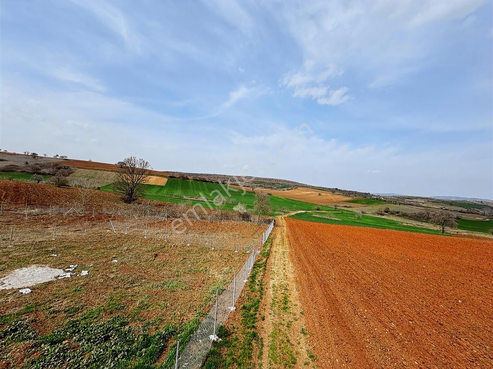 Megakent* Yenişehir Papatya Köyü'nde Satılık Hobi Bahçeleri - Görsel 20